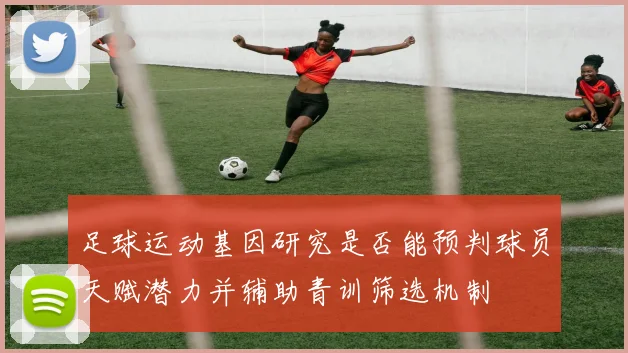 足球运动基因研究是否能预判球员天赋潜力并辅助青训筛选机制