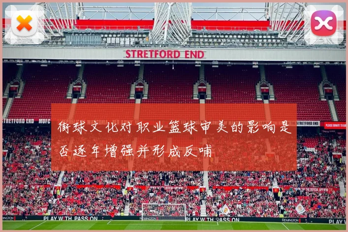 街球文化对职业篮球审美的影响是否逐年增强并形成反哺