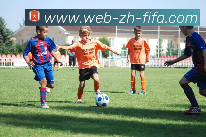 世界杯买球平台生态图